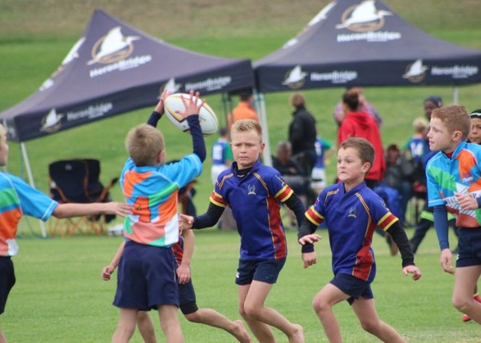 Junior Rugby
